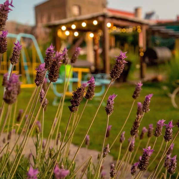 Quincho y jardín al atardecer