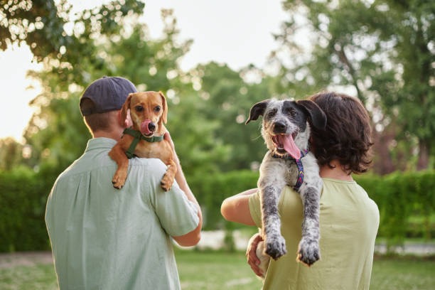 Pet friendly
